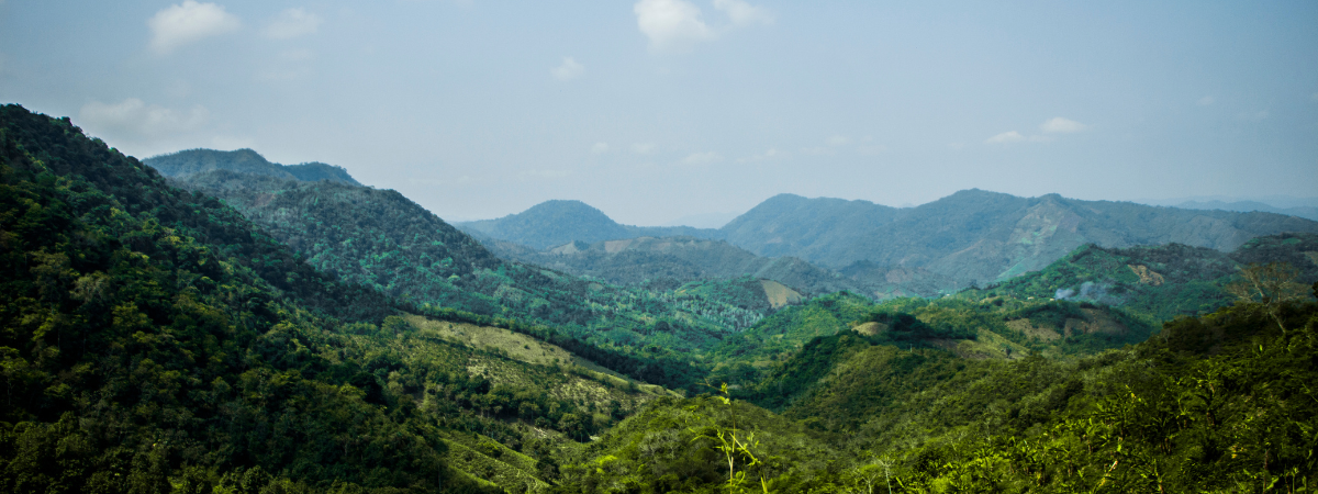 A picturesque view of green mountains.
