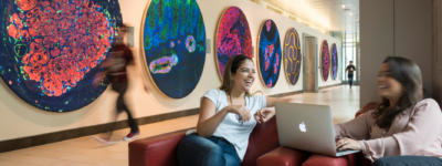 Students sit laughing in front of art made out of petri dishes.