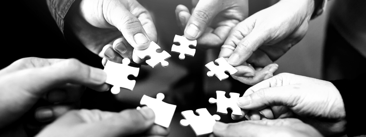 A group of hands holding puzzle pieces.