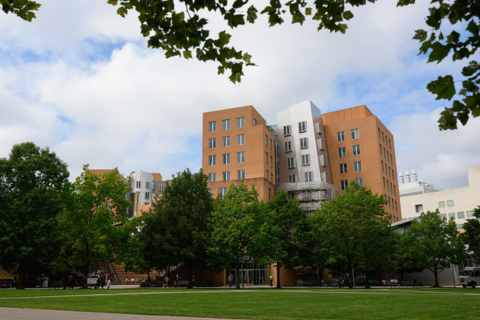 MIT's Stata Building surrounded by trees on a sunny day.